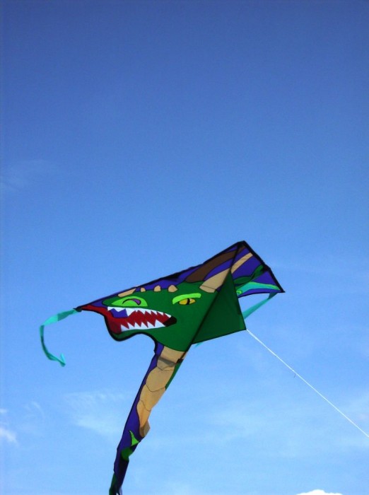 2008 KiteFestival-021.jpg